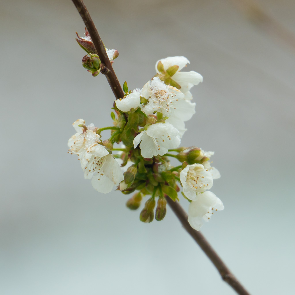 1/400 sec at f / 2.8